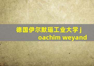 德国伊尔默瑙工业大学 joachim weyand